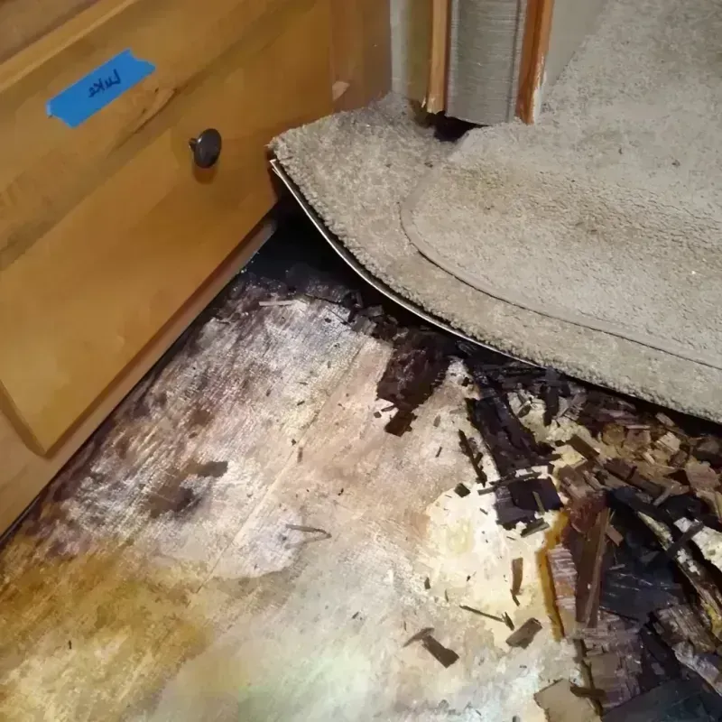 Best Wood Floor Water Damage Service in Arlington, MD